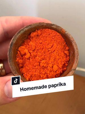 Homemade paprika (it’s easier than you think!) #paprika #recipes #peppers #diyproject #growingvegetables #garden #gardenproject 