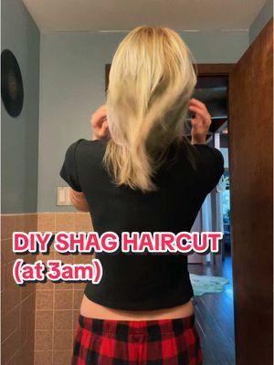 diy shag cut ✨cutting my hair over the sink at 3am ✨  i found a diagram that showed how to do a wolf cut/shag so i decided to attempt it myself. also i couldn’t sleep lol. im really happy with how it turned out and my hair definitely feels more bouncy & voluminous now!  **disclaimer i am not a professional hairstylist this is for entertainment lol #diyhaircut #wolfcut #shaghaircut #cuttingmyhair #haircut 