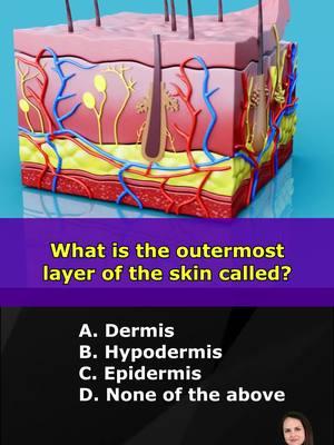 Can You Get All of These Anatomy Questions Right? What is the outermost layer of the skin called? What is the largest bone in the human body? Adults usually develop how many teeth? #nursingschool #anatomy #nursing #nurse #nursesoftiktok #nursesarah #nursingstudent #fyp #foryou #nursetok #study #LearnOnTikTok #stem 