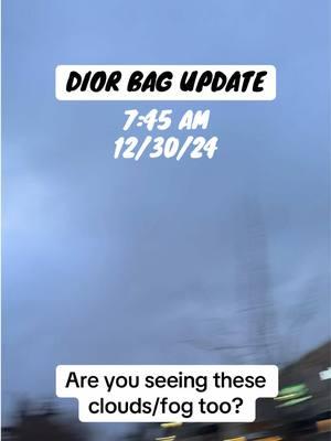 Are you seeing this where youre at? #diorbag #diorbags #glitchinthematrix #bethennyfrankel 