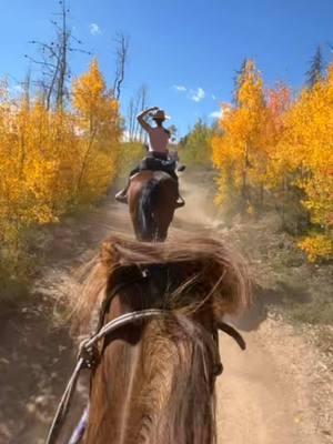 #wrangler #duderanch #colorado #horses #trailride #rockymountains 