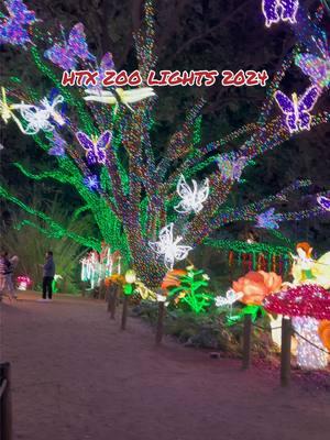 1st time ever going had a smooth time 😎 #zoolights #houstonzoolights #hypemanprince #houstonzoo #christmaslight 