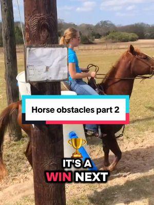 Horse obstacle course part 2 #horsememes #equestriansport #horseproblems #creatorsearchinsights #horse #horses #horseriding #horsetraining #equestrian © 2024 Connect the Chex 