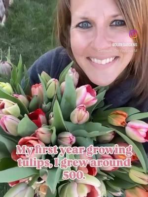 Tulips got me hooked! First year, I grew 500 had to buy a refrigerator to store them in 😂. Second year, grew 5000 and build a cooler and sold every single one. Here we go year three! The best is yet to come! #flowers #flowerfarm #flowerfarmer #flowerfarming #tulips #tulipseason 