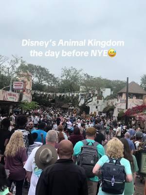 If you are planning to come to Disney for New Years… don’t 😅 #animalkingdom #disney #crowds #newyear 