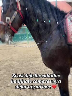 #m #caballos #trabajando #rancho #verde #beecher #nocreo 