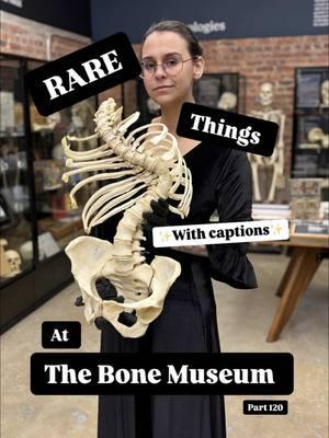 Due to popular demand and The Bone Museum’s commitment to accessibility, we’ve re-uploaded this video with captions to ensure more people can enjoy and learn from it. We recognize that English isn’t everyone’s first language and want to make our content as inclusive as possible. Step into the fascinating world of history and science at The Bone Museum in Brooklyn, New York. In this video, explore the story behind a skull with an infected craniotomy, the poignant history of a leg with a foot amputation, and the significance of a syphilitic femur. Discover skulls marked by extreme trauma and many other remarkable pieces from our collection. #osteology #thebonemuseum #bonemuseum #forensicscience #nycevents 