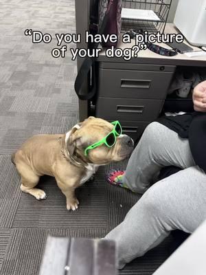 Oh boy, do I! #jonsnow #thief #cute #americanbully #dogmom #fcbk #adorable #dogsoftiktok #Love #dogs #jonald #juannieve #jonnyboy #jonjon #jonathan #jon #juanito #amor