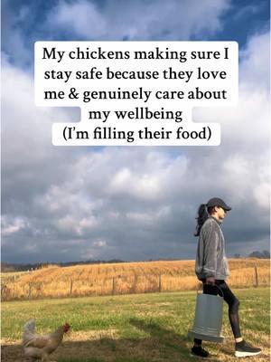 Such thoughtful creatures 🥰 - - - #coopconfessions #belltherooster #bell #babybell #probsbitching #fyp #funny #comedy #laugh #share #havefun #smile #storytime #storytelling #story #animals #farm #farmlife #chicken #chickens #rooster #funnyanimals #chickens #chickensoftiktok #chickentok #dontmakeunnecessaryjourneys 