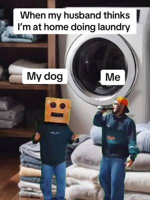 Dance break between loads of laundry #bostonterriers #@Matt Silva MemeCut #memenatal #MemeCut #memenatal #Meme #MemeCut #memenatal #vacation #noworktoday 