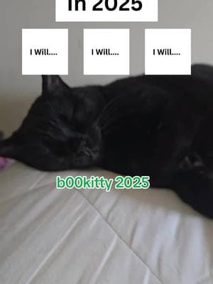 #tiktkok #foryoupage #kitty #PetsOfTikTok #catsoftiktok #b00kitty1987 @joey "joker" barber 