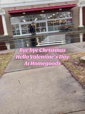 Any ideas for the silicone molds are greatly appreciated 🎀🍒💕 @HomeGoods #homegoods #homegoodsfinds #ValentinesDay #valentinesdayfinds #galentinesday #bows #cherries #comeshoppingwithme #fyp #foryou #foryoupage 