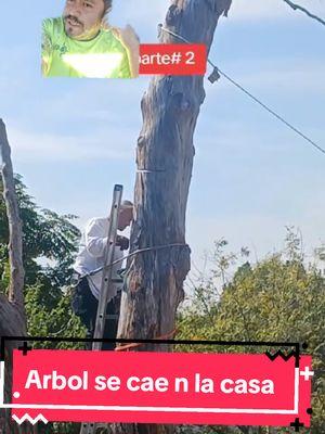 Que piensan del video compañeros? Arbol se cae en la casa, gracias @Ramon Ortega por mandarme el video. #muñecosdeaserrin #arboleros #arbolistaedgargarcia 