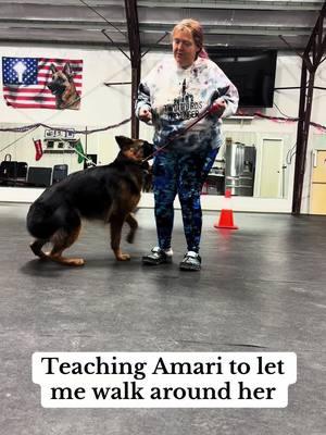 Teaching a puppy to let you walk around & behind them #darkwinggsd #dog #puppy 