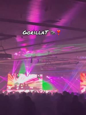 A night out to see @GorillaT Music and @Wooli 🦍🎶🦣 Such a fun night! #fypシ #rave #music #edm #dubstep #experimentalmusic #BestFriends #ravefam #wooli #flowstarforever #gorillat #Vlog @✨Ｂｒｏｏｋｅ ✨ @OneandonlyMrs.Line @beeravesnstuff 