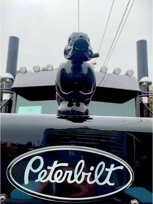 #chickenlightsandchrome #peterbilt359 #1975 #peterbilt #showtruck #pennsylvania #peterbilttrucks #peterbiltcrazy 