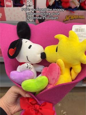 Literally so cuteee #valentinesdaygift #valentinesdaygiftideas #valentinesgift #bouquet #snoopydog #snoopyfinds #peanutssnoopy #ValentinesDay #diadesanvalentin #walmartfinds #walmarthaul @Walmart 