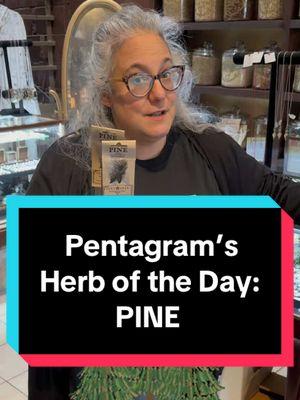 Pentagram’s Herb of the Day:  PINE!!! It’s everyone’s favorite winter scent, but what makes it so special? #fyp #pentagramshoppe #pentagram #SalemMA #magic #magick #witchcraftforeveryone #psychic #psychicreadings #witchesoftiktok #psychicsoftiktok #witch #shopsmall #SmallBusiness #tarot #newengland #hauntedhappenings