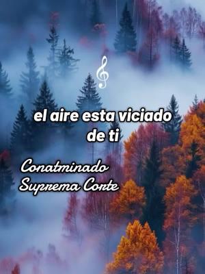 #salsasensual #salsa #Salsaromantica #letra #salsabaul #romantica #parati #lyrics #foryou #musica #canciones #letrasdecanciones #bogota #cali #venezuela #chile #ecuador #españa #colombia #valencia #miami #newyork #peru #temazo #salsaparaestados #cancionesparahistorias #cancionesparadedicar #cancionesparaestados #cancionesromanticas 