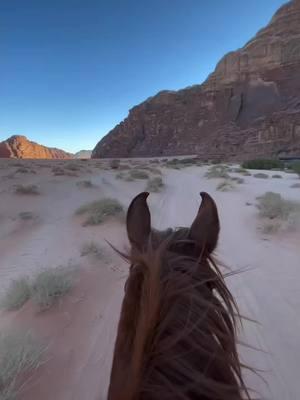 🇬🇧 The countdown to the New Year continues with highlights from our rides throughout the year! 🐎✨ Walk, trot, canter, and gallop with us across the desert landscapes of Wadi Rum. 🌄 This video captures moments of every season, ending with a slow-motion moment under a stunning sunset. 🌅 #horse #TrailRide #wadirumhorseadventures 🇫🇷 Le compte à rebours vers la nouvelle année continue avec des moments forts de nos randonnées tout au long de l’année! 🐎✨ Marchez, trottez, galopez avec nous à travers les paysages changeants du désert de Wadi Rum. 🌄 Cette vidéo capture des images de chaque saison, avec une finale en slow-motion sous un magnifique coucher de soleil. 🌅 #wadirum #randonnée #aventure 🥰🎥 @wadirumhorseadventures 