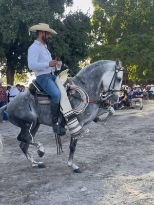 Cuadra Mijael Nava.         #caballosbailadores  #gentederancho  #gentederanchowashington  #jaripeos  #bailes  #cuacos  #mexico  #guerrero  #jalisco  #nayarit  #sinaloa  