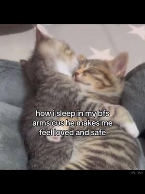 need to sleep and cuddle like this forever 🤧💤 #gf #girlfriend #bf #boyfriend #Relationship #relatable #relationshipgoals #couple #catcouple #cutecat #catmeme #cat #kitten #kitty #meow #ilovemybf #ilovemygf #soulmate #sleepingcat #eepycat #cuddlingcat #onthisday 