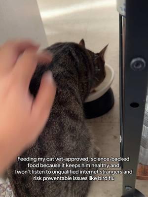 Pseudoscience? Couldn’t be me.  #catsoftiktok #cats #catfood #feedmycat 