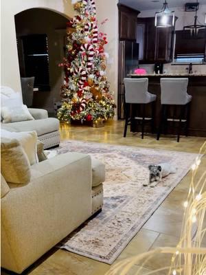 This washable rug is a must have! Especially if you are a pet owner or have kids @MontVoo Rugs #montvoorugs #washablerugs #livingroomdecor #homedecorideas #modernhome #Home #homedecor #tiktokshopholidayhaul #newyearnewaura #modernrugs #fyp #paratii #viralrug #fypシ 