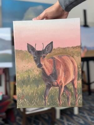 “Young Buck” 12 in. X 9 in. Oil on canvas. 🦌  I’m lucky enough to live near a lake that has a small herd of deer that browse behind my home. One day during the pink sunset, I caught this little guy eating grass, and luckily I had my camera with me!   . . #oilpainting #whitetail #westernart #painting #westernartwork #artstudio #texasart 