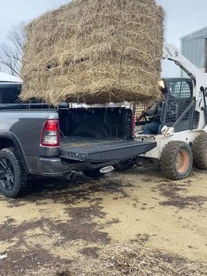 Nothing to it. #hay #haybundles #balebundle #hayisforhorses #horsehay #haybales #loadinghay #haytok #haylife #farmtok #farmlife #agtok #aglife #ag #smallsquarebales #skidsteer #bobcatequipment #bobcatskidsteer 