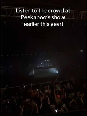 Counting down to @peekaboobeats New Year’s Day show in DC!  #ravetok #edmtiktok #dubstep #peekaboo #newyearsshow #crowdreaction 