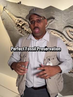 James Washington III explains what it takes for "perfect fossil preservation." Come explore our world-class collection of Fossils in the Morian Hall of Paleontology #fossils #paleontology #naturalhistory #museumtok #houstonmuseum 