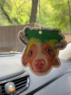 #CarLovers #dogsoftiktok  #FreshCarVibes #CarFreshenerAddict #PersonalizedGifts  #custommerch  #FreshenUp #ScentGoals #CustomVibes #FreshDesigns #cargoals  #Instafreshener #CustomAirFresheners #FreshenYourRide #InstafreshenerStyle #StayFreshWithInstafreshener #CustomCarFresheners #AirFreshenerDesign #PersonalizedAirFresheners #BulkAirFresheners #CustomPrintedFresheners  #Instafreshener 