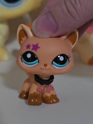 if you have any questions about anything I said please ask 😭 I really wish I could word things better. And just because I understand WHY prices went up doesn't mean I'm happy and don't want them to go down. #lps #littlestpetshop #rarelps #lpscollector #lpscollection #lpstok #lpsrant 