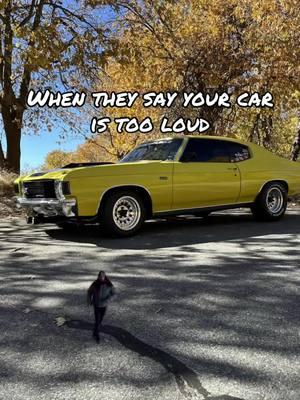 #chevelle #musclecar #americanmuscle #americanmusclecar #americanmusclecartok #cartok #musclecartok #carshow #carsandcoffee #restoration #classiccar #chevelless #musclecarsoftiktok #carsoftiktok 