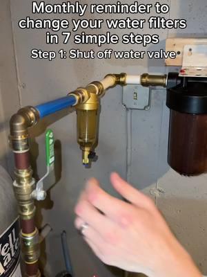 Get out there and change your dirty filters and have cleaner water. #maintenance #homeowner #waterfilter #waterfiltration #wholehousefilter 