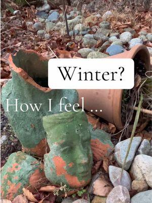 I know it’s winter. I mean, NYE is TOMORROW, but I have ANNUALS still growing. There are leaves at the base of the WHITE SAGE and sedum? Well it won’t quit. #winter #winterinterest #garden #gardentok #stillgrowing #plants #globalwarming #massachusettscheck 