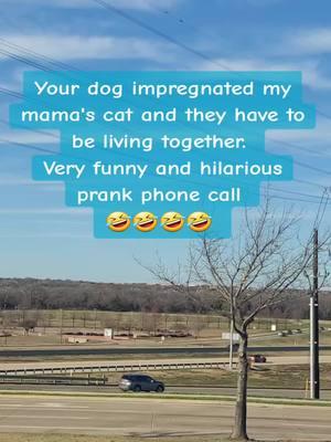 Your dog impregnated my mama's cat and they have to be living together.  Very funny and hilarious prank phone call  🤣🤣🤣🤣  #prank #prankcall #prankphonecall #funny #funnyvideos #jokes #viraltiktok #viralvideo #goviral #trending #fyp #foryou #foryoupage #nephewtommy 