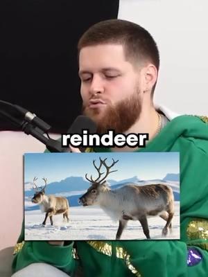 Biggest reindeer?... 🤣 #youshouldknowpodcast 