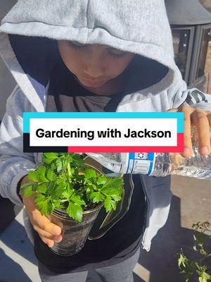 Had a little visitor - never too early to teach him the beauty of gardening 🤗 #gardening #inthegarden #planting #plantingcelery #celeryplant 