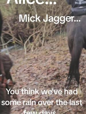 Alice and Mick Jagger @Whiskey Ridge Ranch #fyp #foryou #trending #viral #mulesoftiktok #mules #muletraining #mulesrule #cowgirlsoftiktok⚡️ #cowboyshit #arkansas #cowgirls 