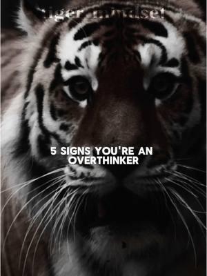 5 signs your an overthinker #overthinking #overthinker #overthinkingeverything #overthinkingang #listentothis #quotesforyou #tigermindset #motivationtiger 