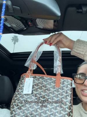 She’s a BEAUT #fyp #foryou #foryoupage #la #goyard #bag #unboxing #unboxingvideo #designer #designerbags #goyardbag 