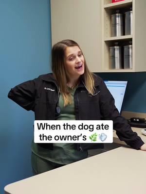 The dog was just looking for a good time 😶‍🌫️ #veterinarian #vetmed #vettech #veterinarylife #veterinariansoftiktok #vettechsoftiktok #vetclinic 