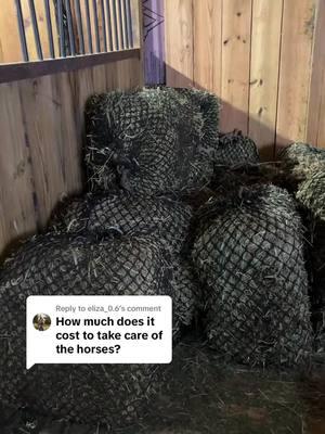 Replying to @eliza_0.6 We grain horses when needed, (usually 5-10 bags of grain a week) -Supplements when needed  -Hay, (10 round bale pastures, 10-12 small square bales a day.) -Shavings (1 pallet of shavings a week) -Farrier (for barefoot horses 6-8 weeks between each trim, Horses with shoes 4-6 weeks) -Vet (when they first come in and when needed), Vet comes in weekly.  -Chiropractor (when needed)  #greenscreen #fypシ #horseshelter #wisconsin #horse #rescuehorsesoftiktok #fyppppppppppppppppppppppp #fypシ゚viral #greenscreenvideo #money #exp