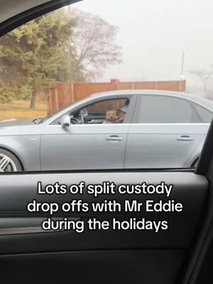 Lots of drop offs for Mr Eddie during the holidays #mreddie #dog #cute #funny #yorkie #fyp 