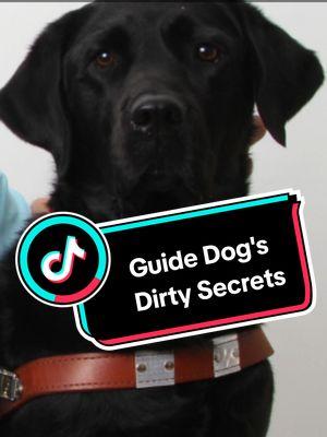 Dirty Secrets About My Guide Dogs: Men's Bathrooms  Watch each week for more in my Guide Dog Series #team #blind #deaf #Accessibility #empowers #Empowerment #deafblind #assist #awareness #blindawareness #helping #deafblindawareness #assistance #dog #guidedog #assistancedog #help #helpsme #seeingeyedog #workingdogs #guidedogsfortheblind #dogs #deafblindpotter #workingdog #work #worktogether #workingtogether #teamwork #overcome #challenges #training #dirtysecrets #secrets 