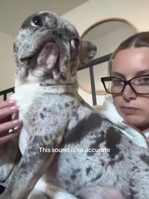 A child #frenchiesoftiktok #frenchies #frenchbulldog #frenchbulldogpuppy #frenchiepuppy 