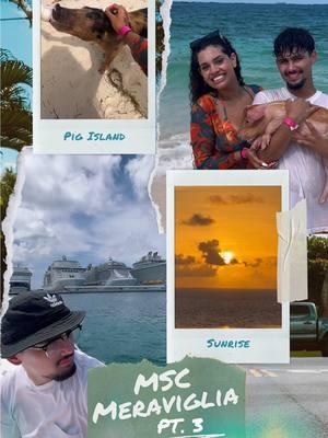 The pigs were the cutest ever 🐷🏝️🤍🤍🤍🤍🤍🤍🤍🤍🤍🤍🤍🤍🤍🤍🤍🤍🤍#nassau #foryou ##msc #msccruises #cruise #vacation #7daycruise #trending #contentcreator #youtube #Vlog #foryoupageofficiall #fyp #bahamas