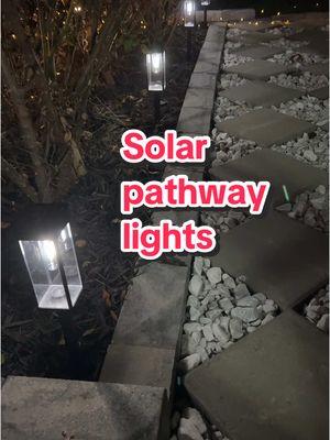 #ad I just lit up my pathway with these beautiful solar lights. I went with the cool tone color lights. #solarlights #pathwaylights #solarpathwaylights #solarlightsoutdoor #outdoorlights #TopTierDecemeber #NewYearNewAura  #MadeMyYear #solargardenlights 